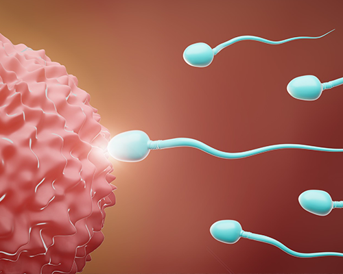 premature-ejaculation-treatment-in-noida